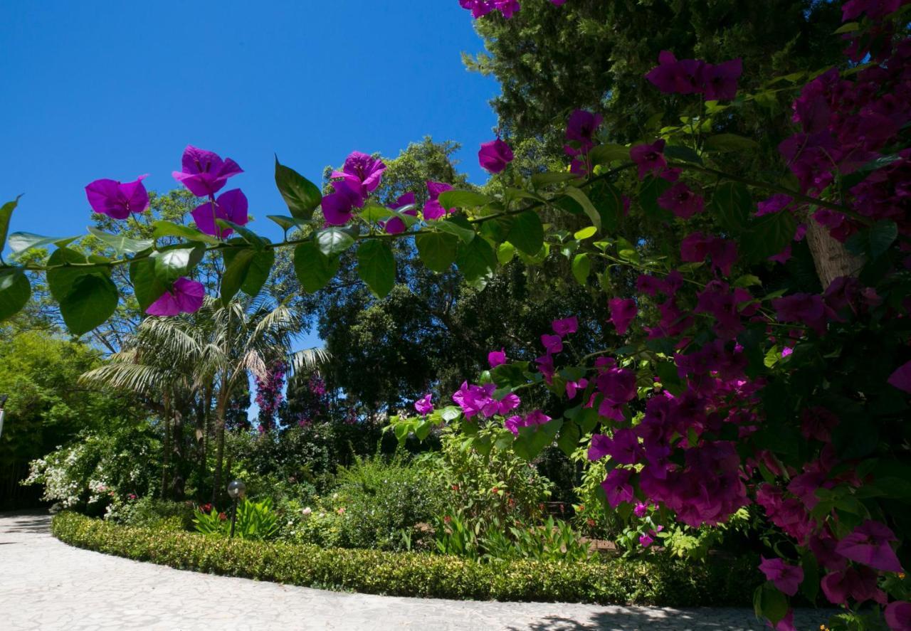 Villa Pampalone - B&B In Dimora Storica Trapani Eksteriør billede