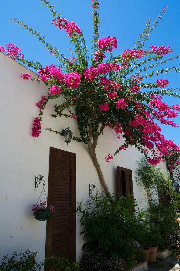 Villa Pampalone - B&B In Dimora Storica Trapani Eksteriør billede