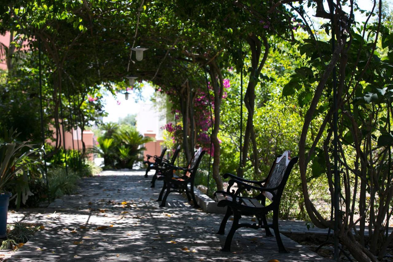 Villa Pampalone - B&B In Dimora Storica Trapani Eksteriør billede