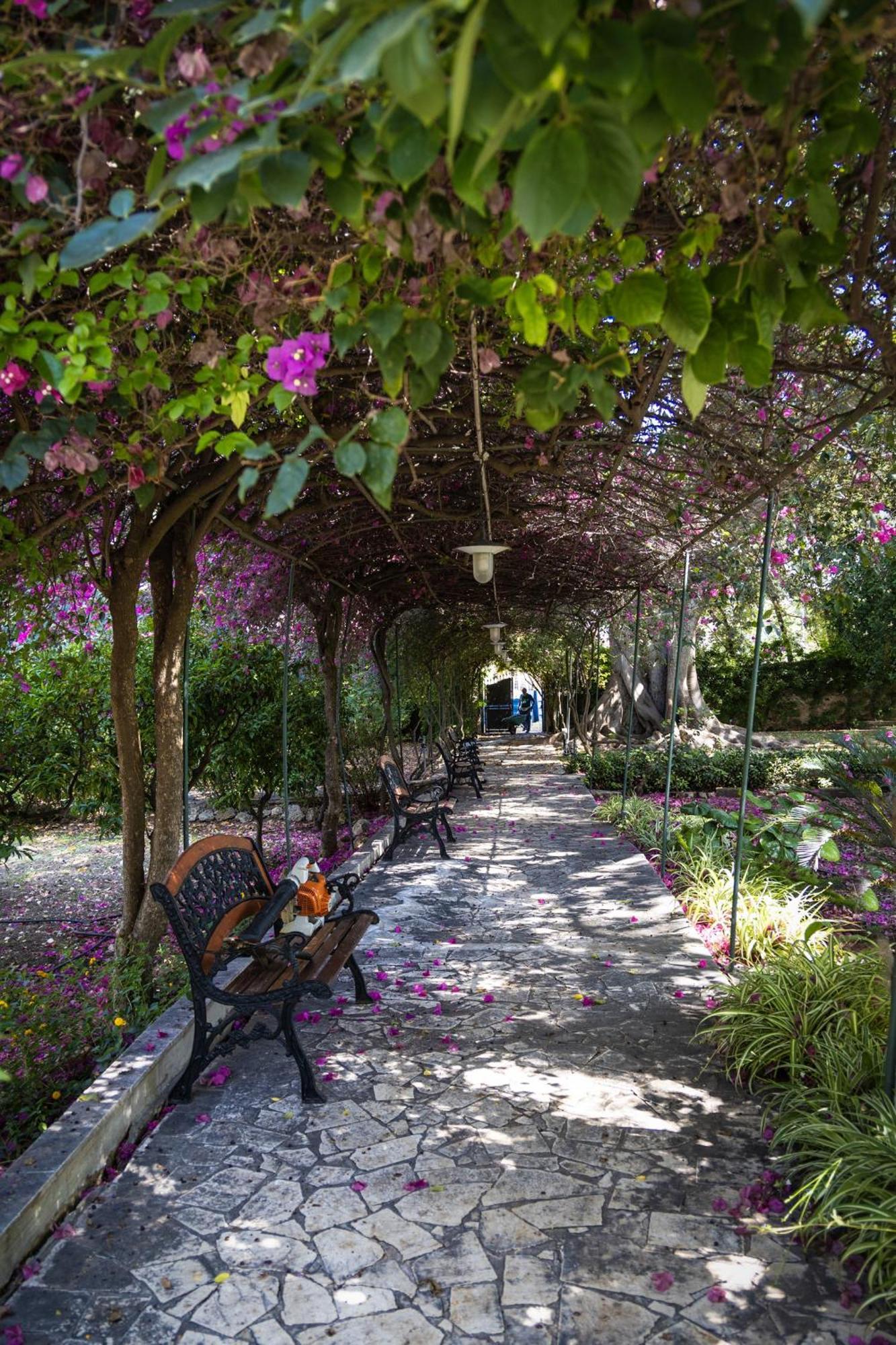 Villa Pampalone - B&B In Dimora Storica Trapani Eksteriør billede
