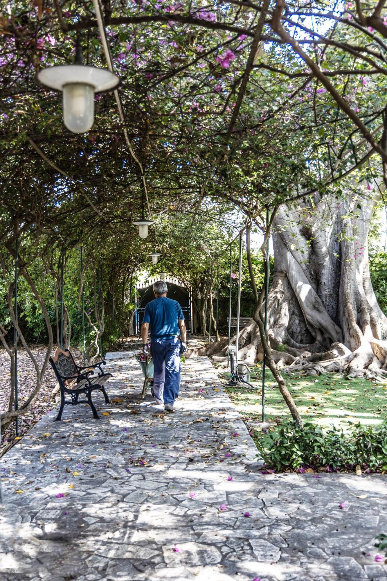 Villa Pampalone - B&B In Dimora Storica Trapani Eksteriør billede